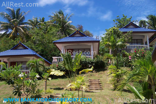 Bankai Orchid Resort 28